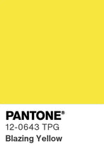 Load image into Gallery viewer, 2.0 / 2.5 / 3.0 MM Reflective Elastic Shock Cord x 400+ IN-STOCK COLORS | BC-SCR