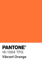 Load image into Gallery viewer, 2.0 / 2.5 / 3.0 MM Reflective Elastic Shock Cord x 400+ IN-STOCK COLORS | BC-SCR